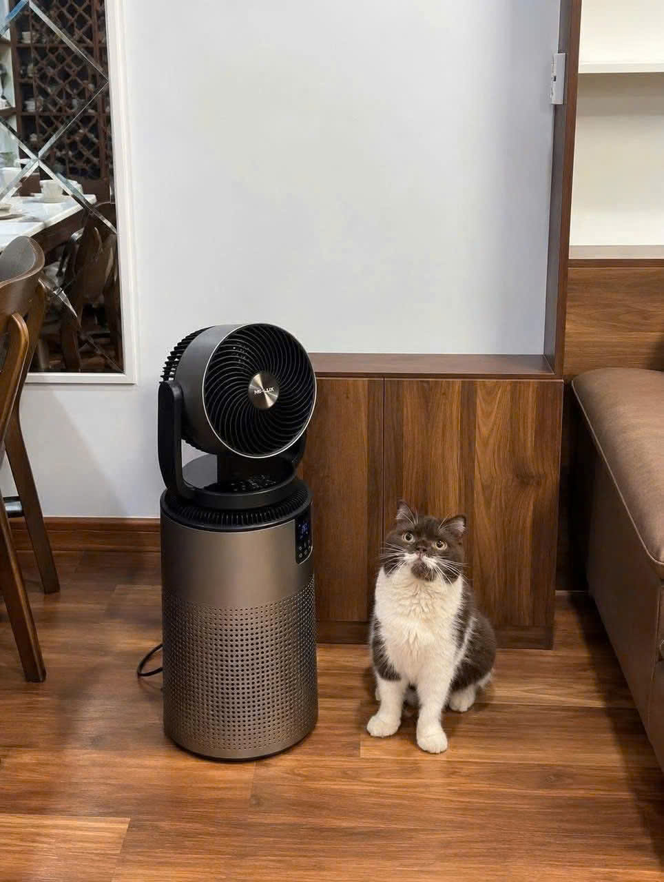 MILUXURY X6 Gen 2 màu graphite đặt cạnh mèo trong phòng khách